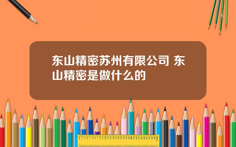 东山精密苏州有限公司 东山精密是做什么的